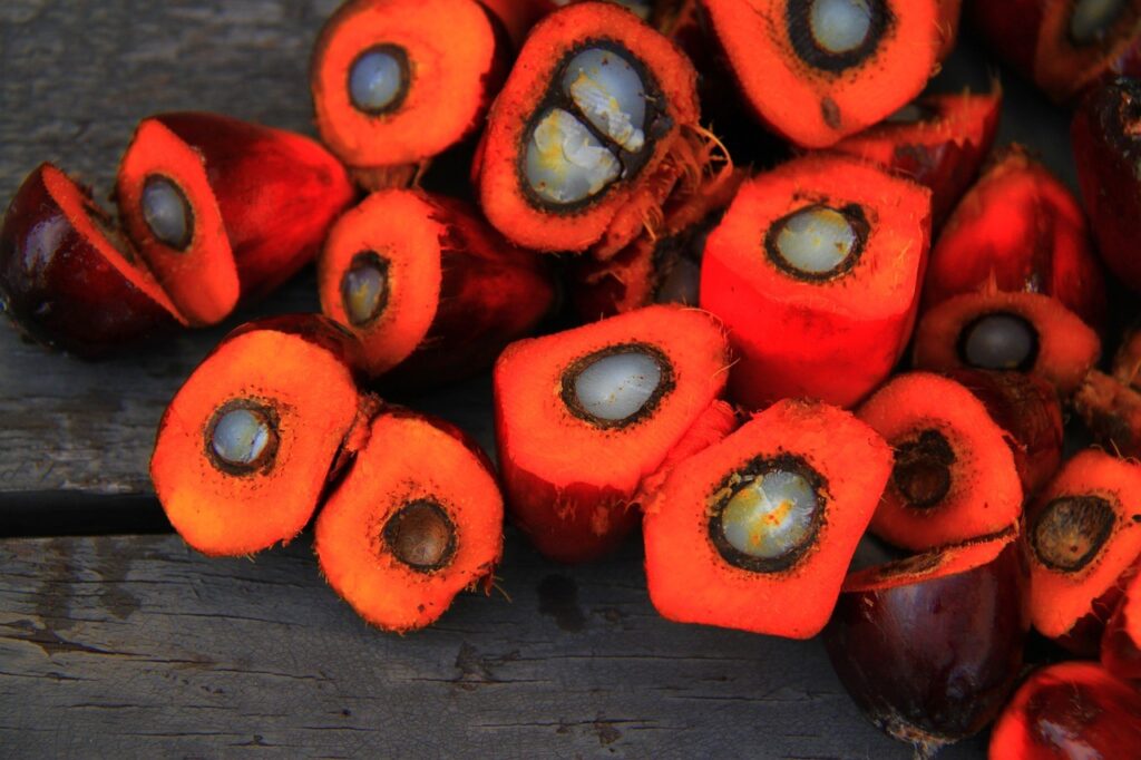 Is palm oil good for your health?